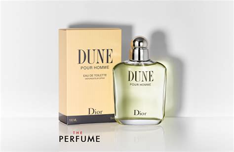 parfum dior dune homme|dune pour homme review.